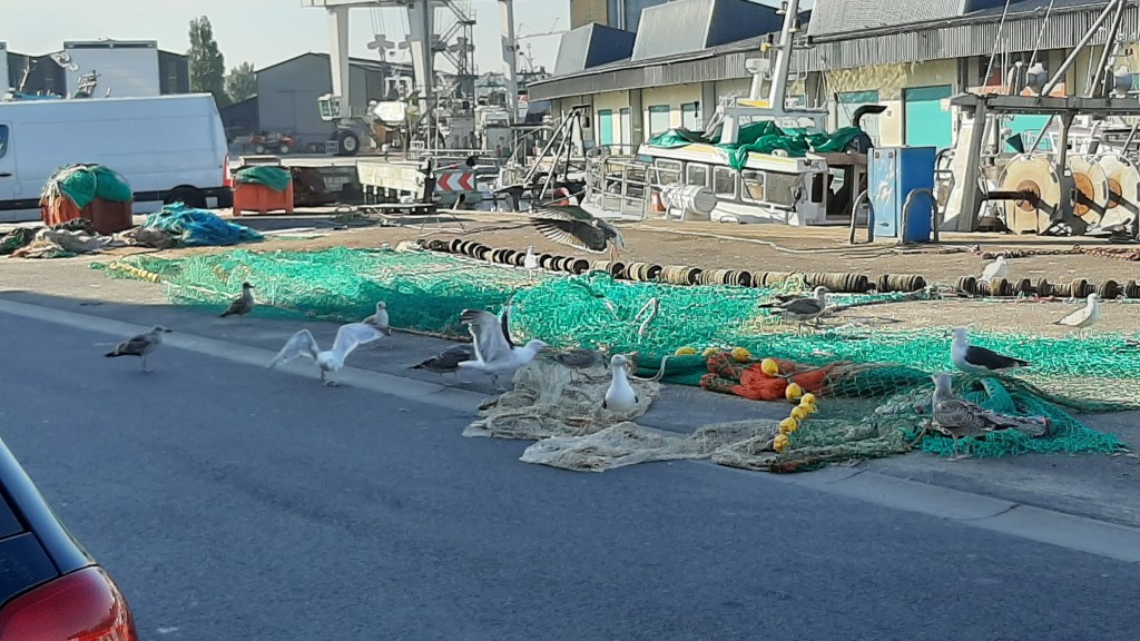 Cette image a un attribut alt vide ; le nom du fichier est 20200902_095526.jpg