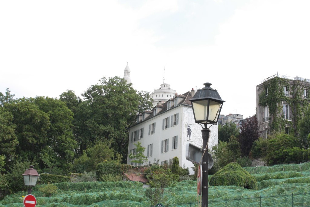 Cette image a un attribut alt vide ; le nom du fichier est img_0104.jpg